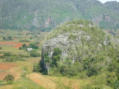 Pinar del Rio
