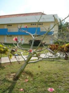 Varadero - Hotel Brisas del Caribe